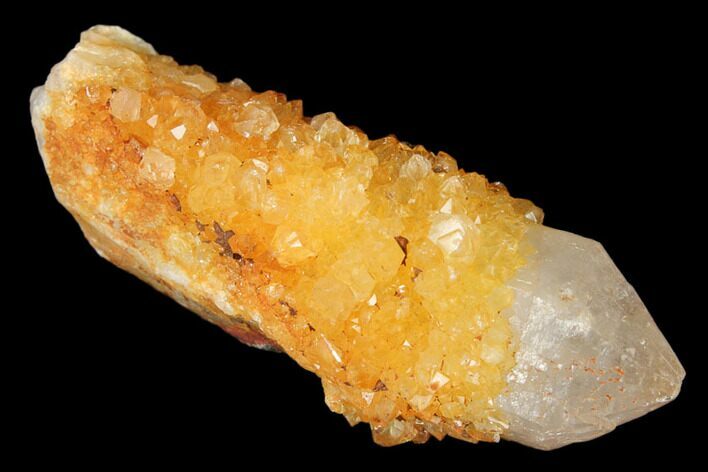 Sunshine Cactus Quartz Crystal - South Africa #122299